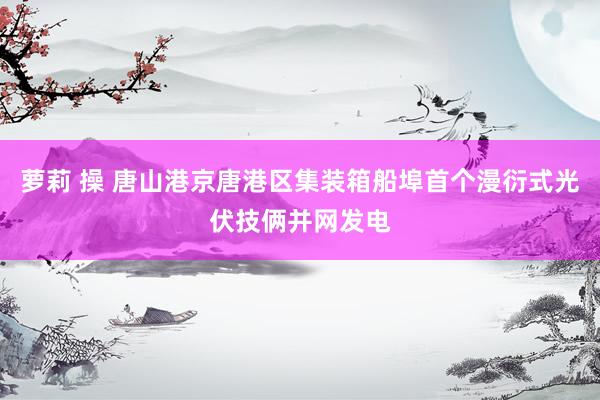 萝莉 操 唐山港京唐港区集装箱船埠首个漫衍式光伏技俩并网发电