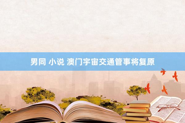 男同 小说 澳门宇宙交通管事将复原
