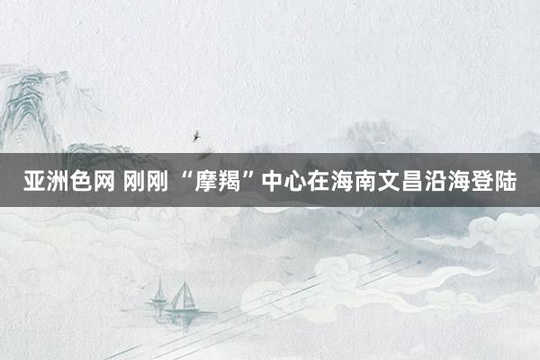 亚洲色网 刚刚 “摩羯”中心在海南文昌沿海登陆