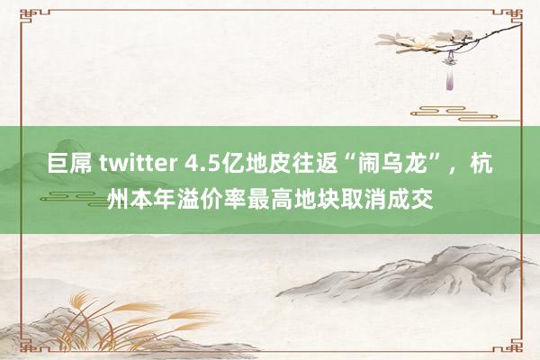 巨屌 twitter 4.5亿地皮往返“闹乌龙”，杭州本年溢价率最高地块取消成交