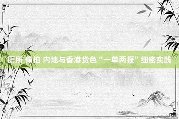 厕所 偷拍 内地与香港货色“一单两报”细密实践