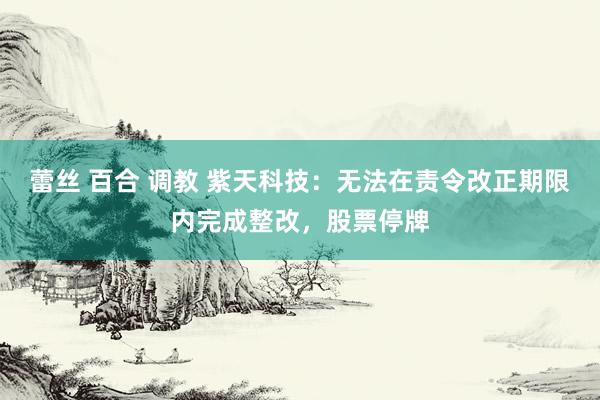 蕾丝 百合 调教 紫天科技：无法在责令改正期限内完成整改，股票停牌