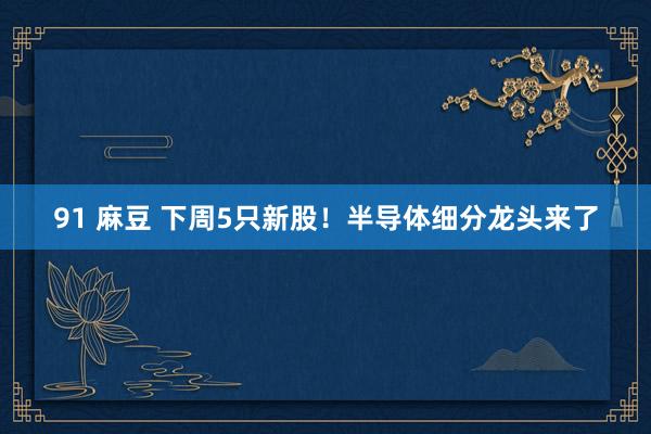 91 麻豆 下周5只新股！半导体细分龙头来了