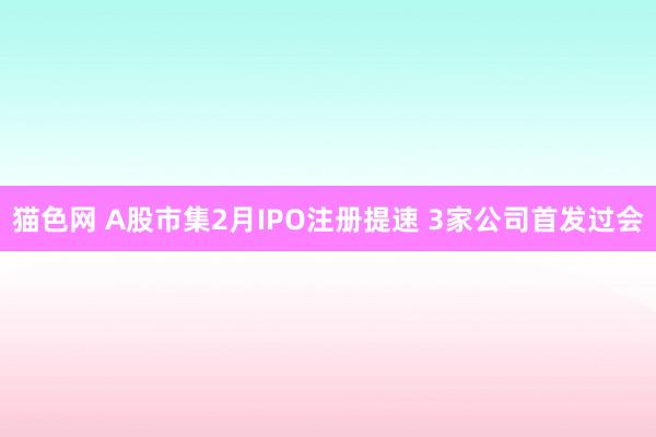 猫色网 A股市集2月IPO注册提速 3家公司首发过会