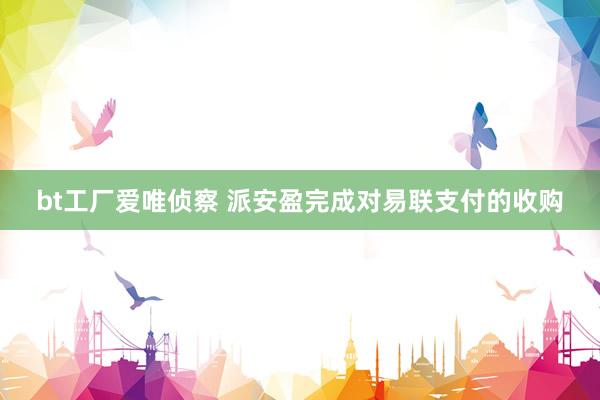 bt工厂爱唯侦察 派安盈完成对易联支付的收购