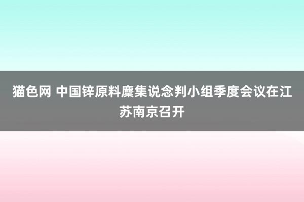 猫色网 中国锌原料麇集说念判小组季度会议在江苏南京召开